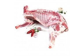 BORREGO LEITE  5/7 KG